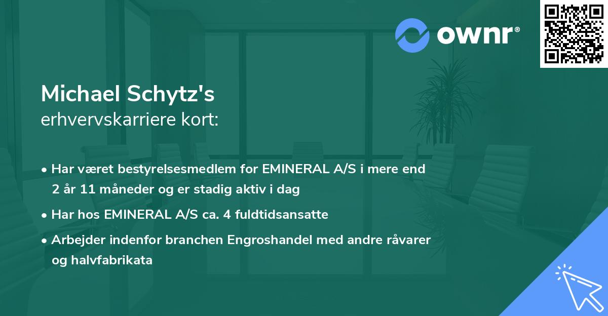 Michael Schytz's erhvervskarriere kort