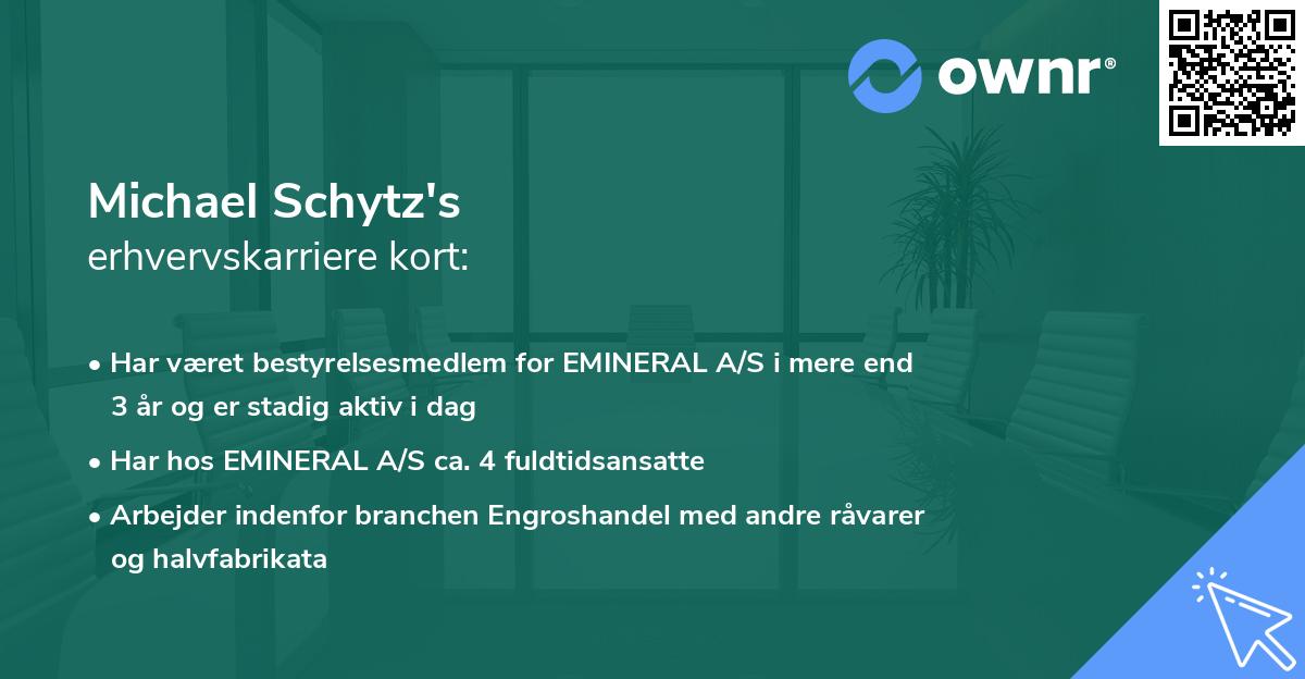 Michael Schytz's erhvervskarriere kort