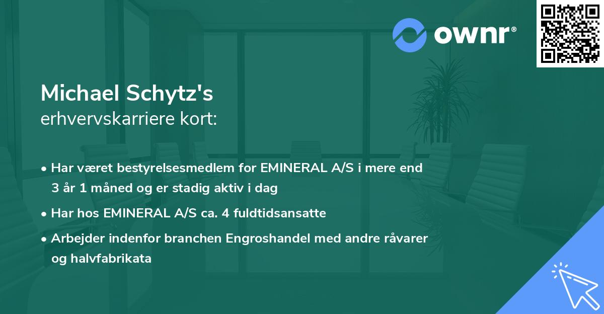 Michael Schytz's erhvervskarriere kort