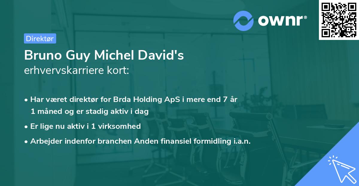 Bruno Guy Michel David's erhvervskarriere kort