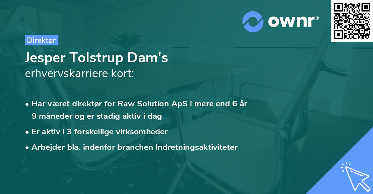 Jesper Tolstrup Dam's erhvervskarriere kort