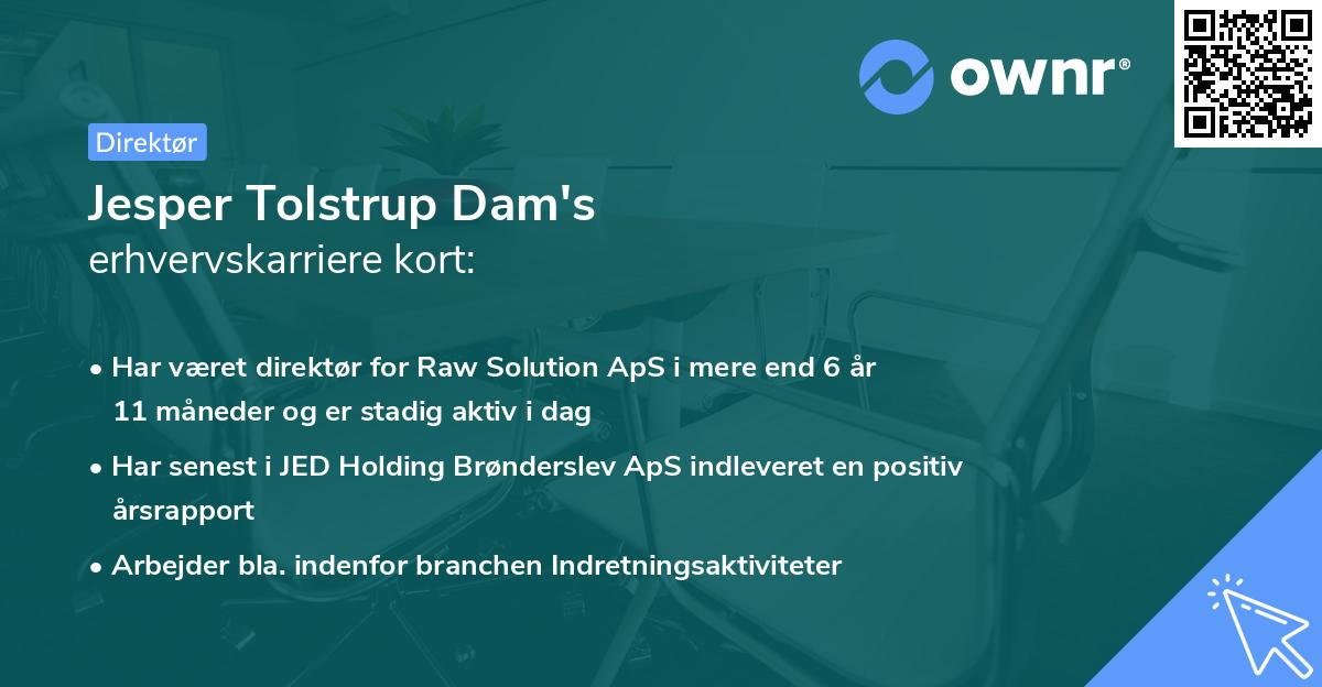 Jesper Tolstrup Dam's erhvervskarriere kort