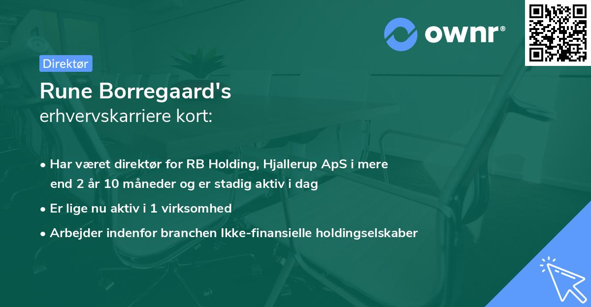 Rune Borregaard's erhvervskarriere kort