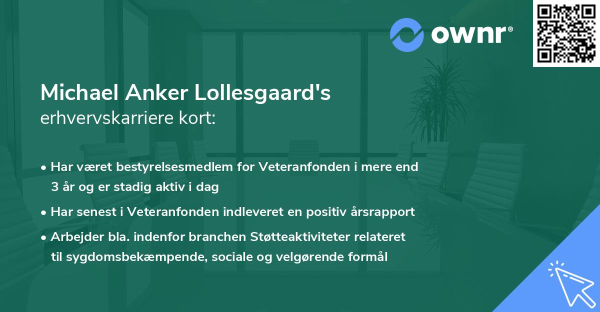 Michael Anker Lollesgaard's erhvervskarriere kort