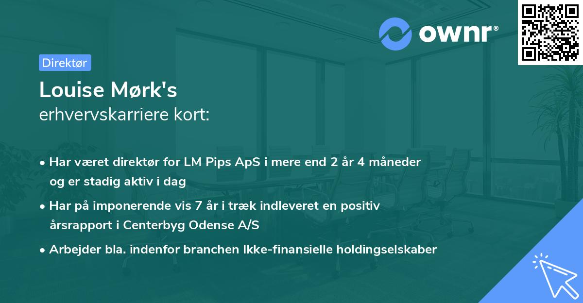 Louise Mørk's erhvervskarriere kort