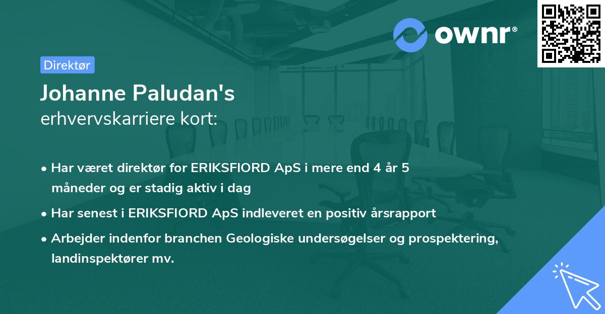 Johanne Paludan's erhvervskarriere kort