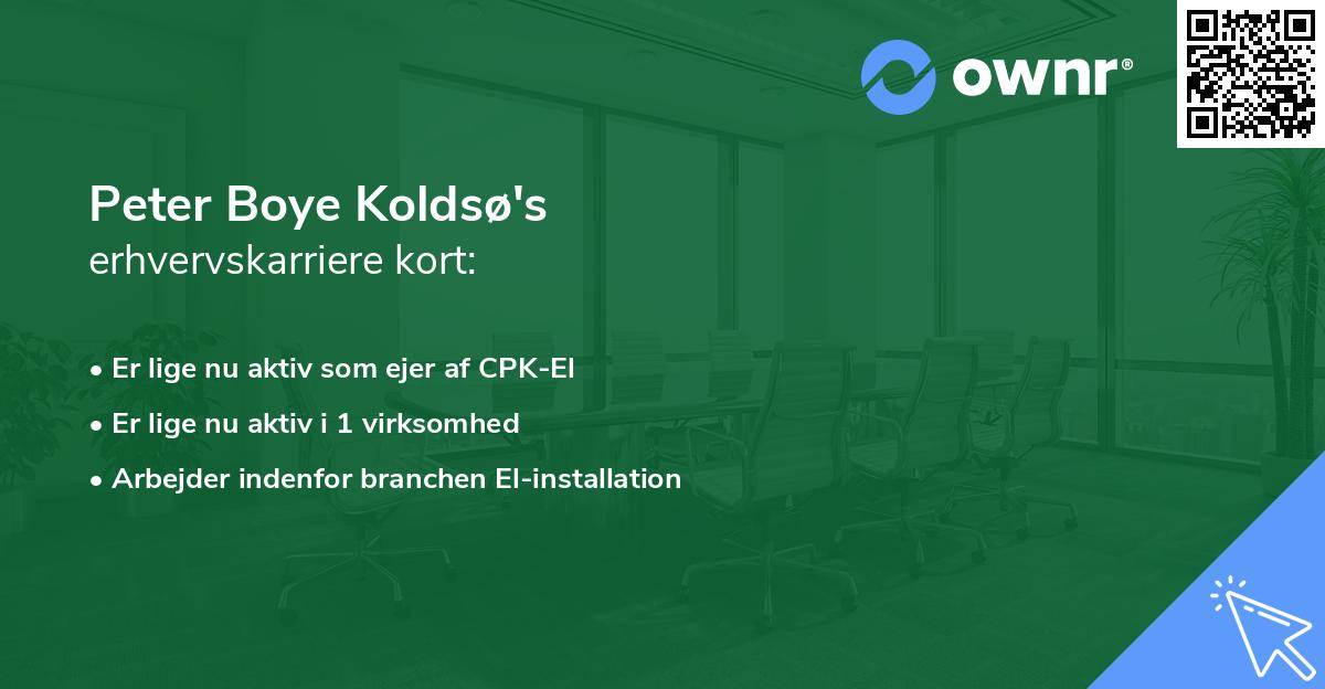 Peter Boye Koldsø's erhvervskarriere kort