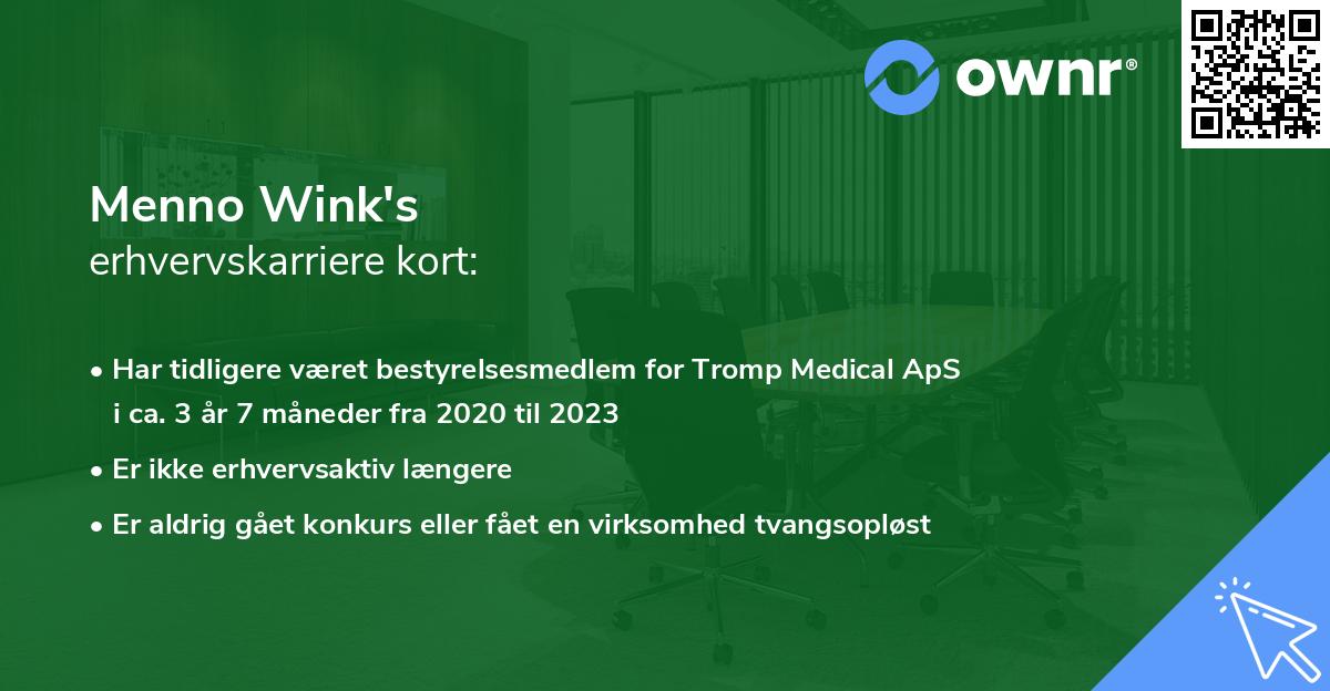 Menno Wink's erhvervskarriere kort