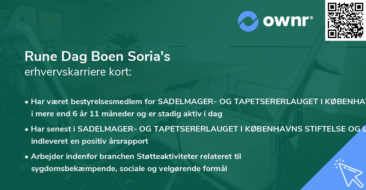 Rune Dag Boen Soria's erhvervskarriere kort