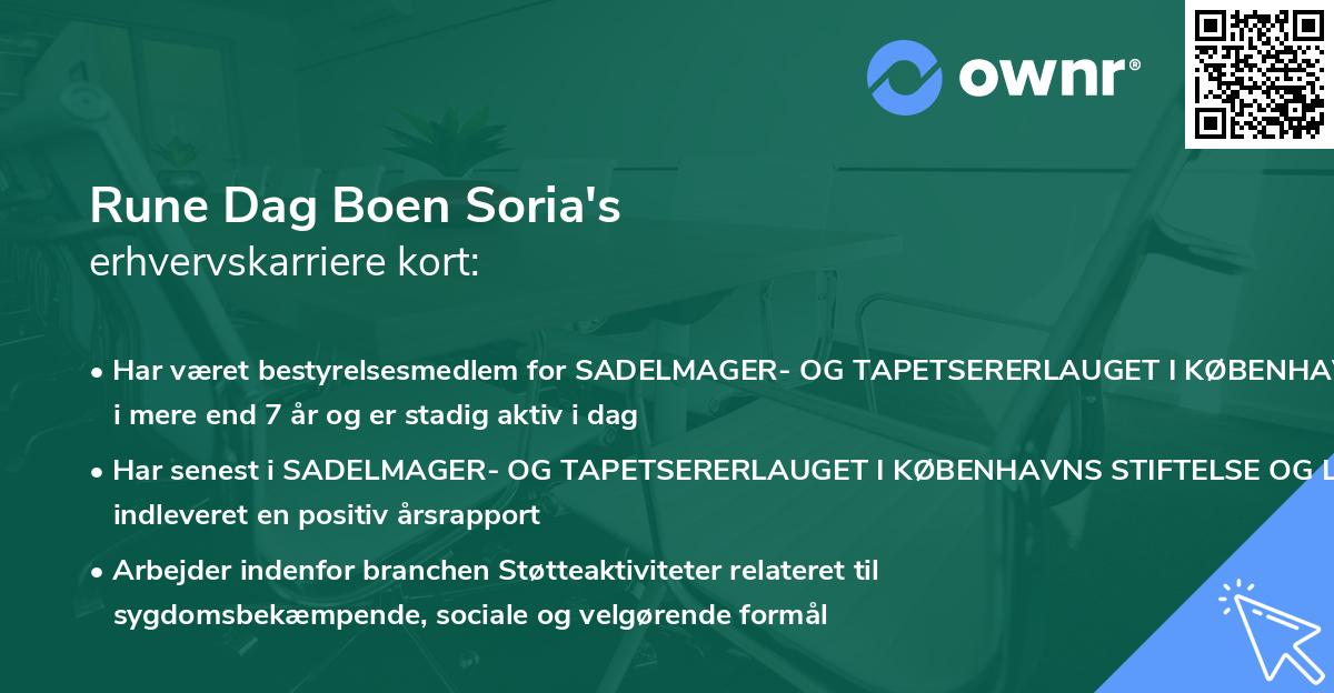 Rune Dag Boen Soria's erhvervskarriere kort