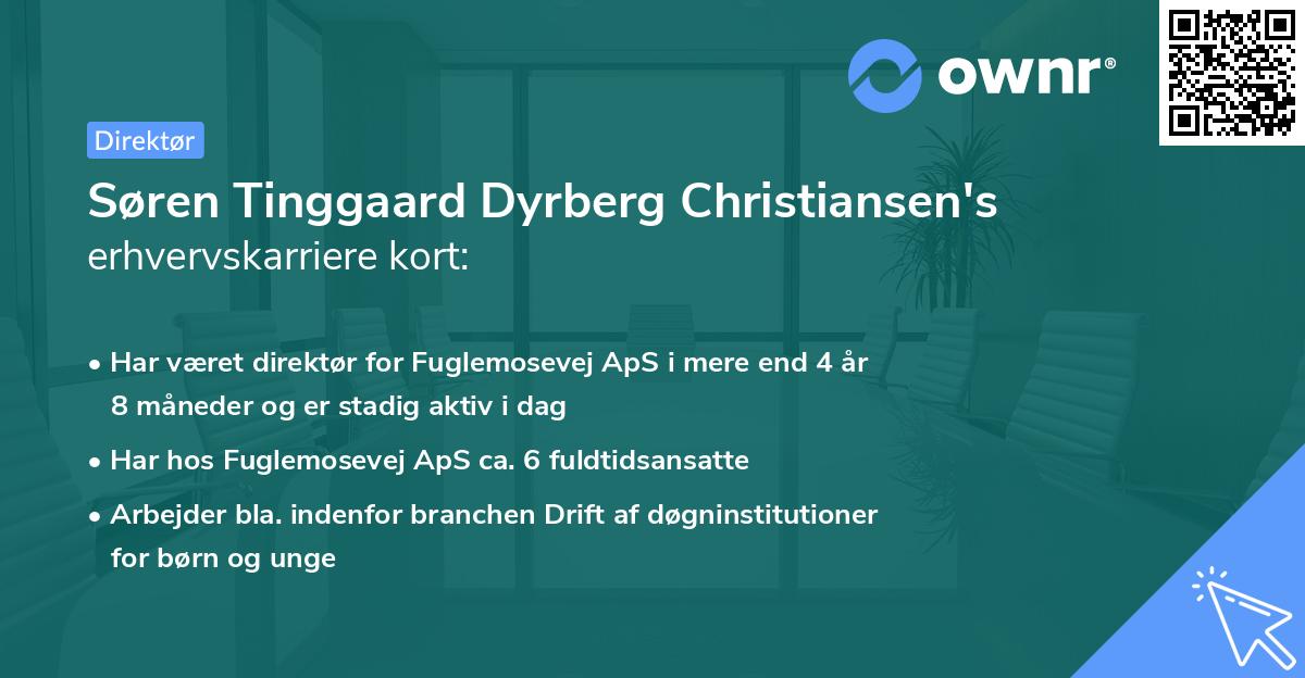 Søren Tinggaard Dyrberg Christiansen's erhvervskarriere kort