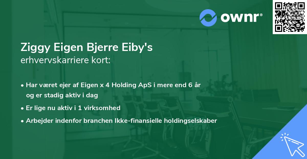 Ziggy Eigen Bjerre Eiby's erhvervskarriere kort