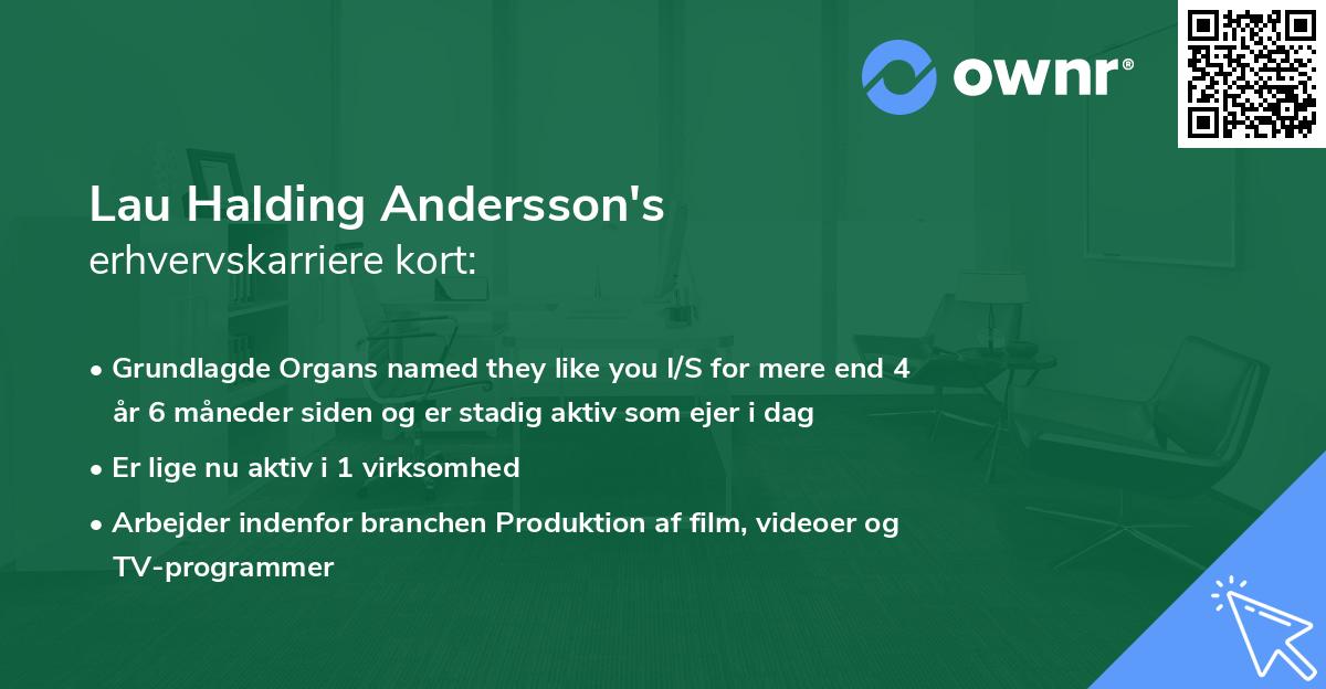 Lau Halding Andersson's erhvervskarriere kort