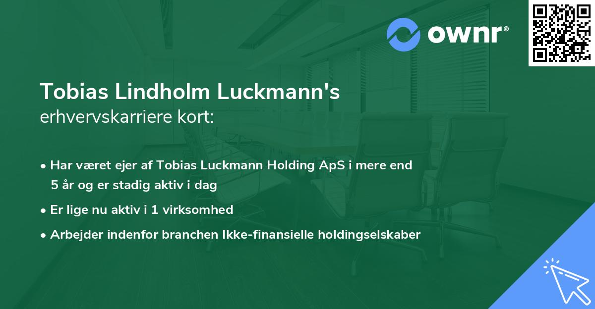 Tobias Lindholm Luckmann's erhvervskarriere kort