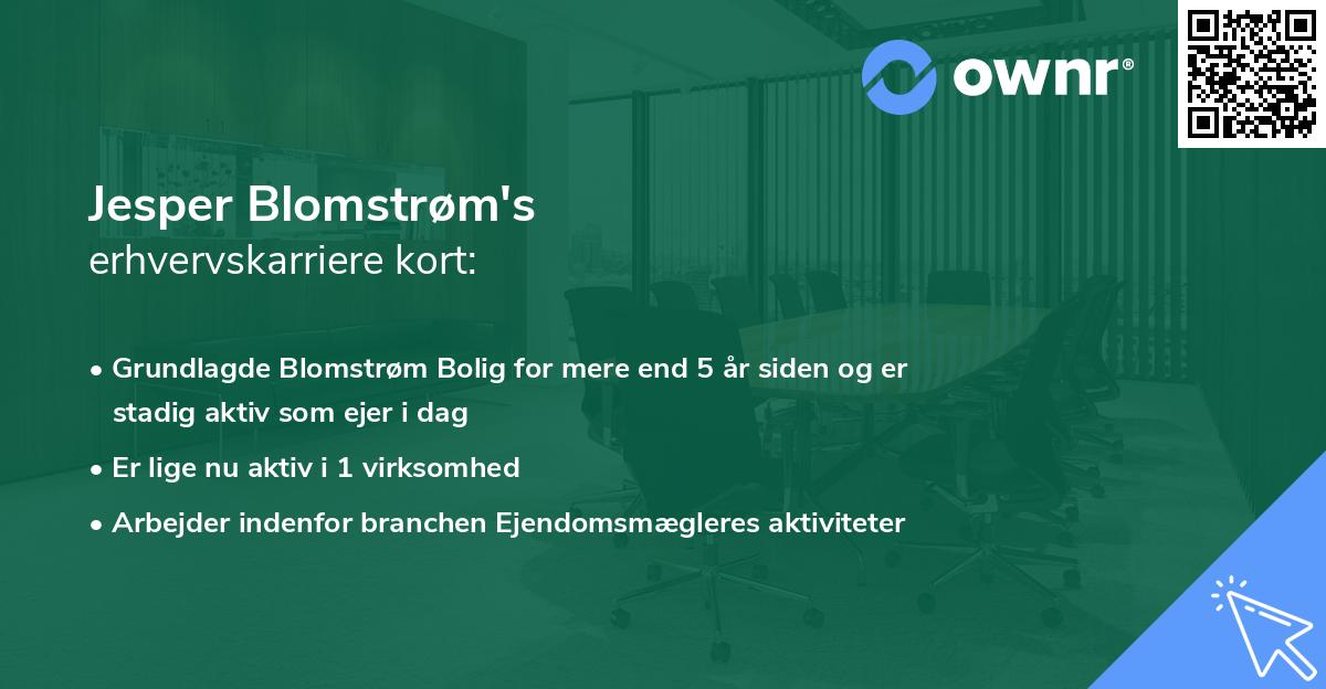 Jesper Blomstrøm's erhvervskarriere kort