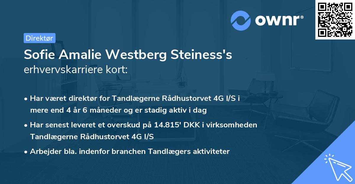Sofie Amalie Westberg Steiness's erhvervskarriere kort