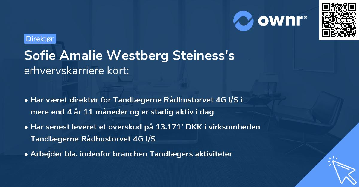 Sofie Amalie Westberg Steiness's erhvervskarriere kort