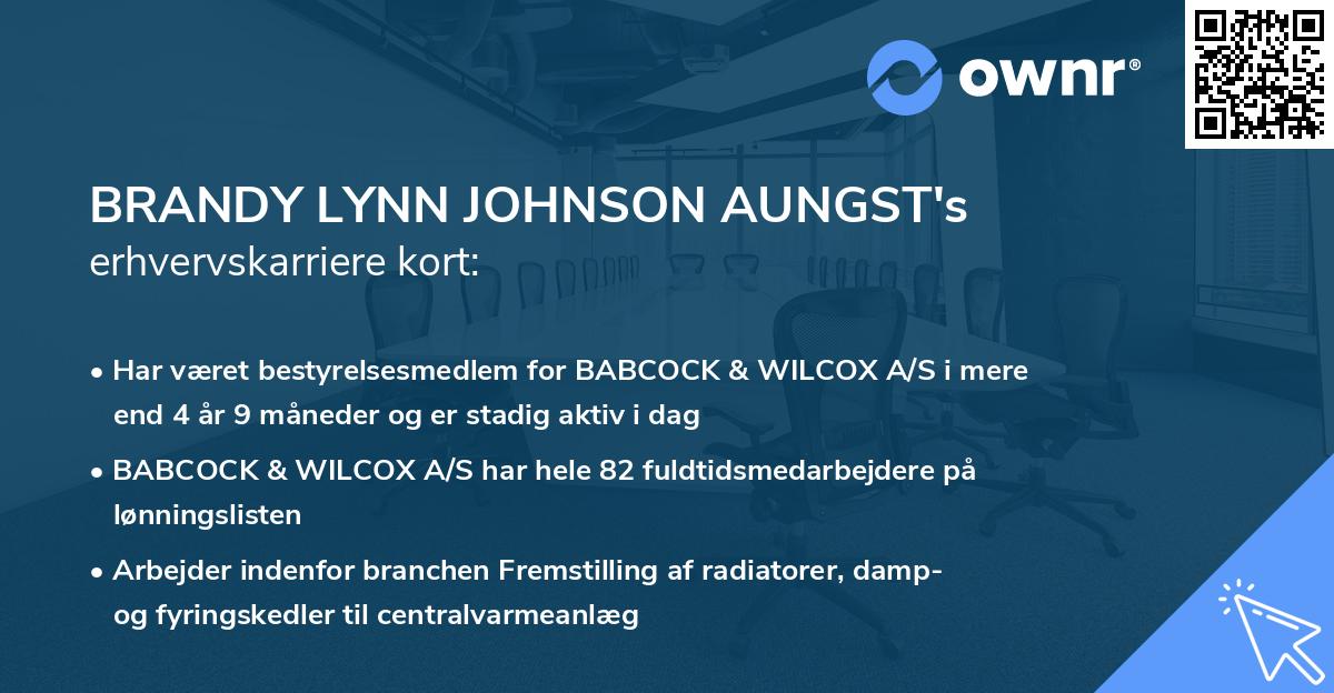 BRANDY LYNN JOHNSON AUNGST's erhvervskarriere kort