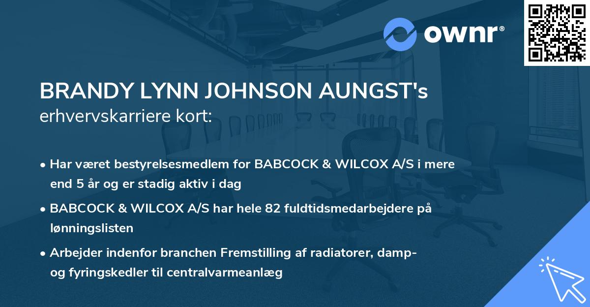 BRANDY LYNN JOHNSON AUNGST's erhvervskarriere kort