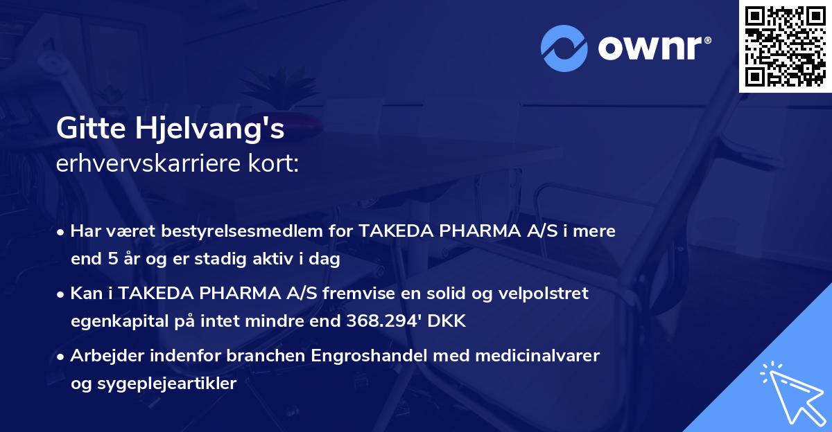 Gitte Hjelvang's erhvervskarriere kort