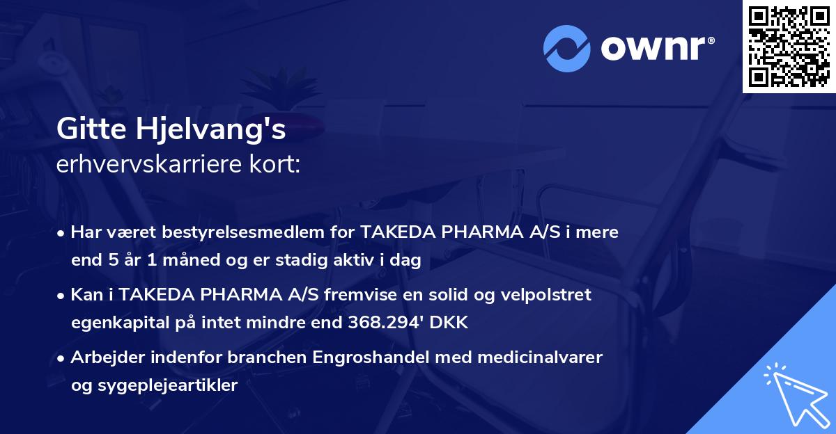 Gitte Hjelvang's erhvervskarriere kort