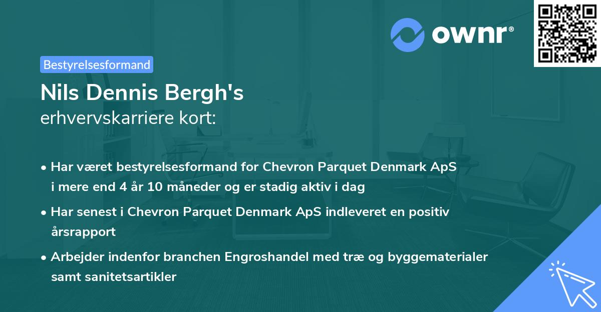 Nils Dennis Bergh's erhvervskarriere kort