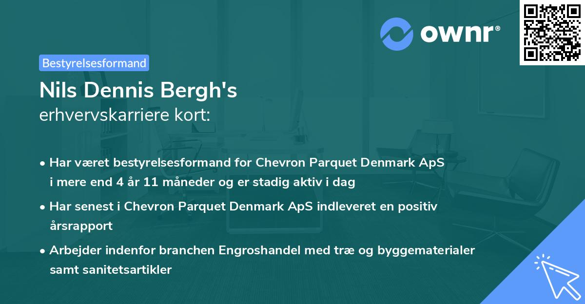 Nils Dennis Bergh's erhvervskarriere kort