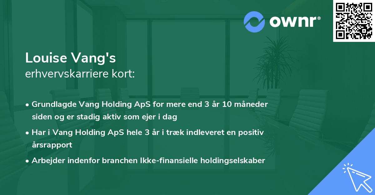 Louise Vang's erhvervskarriere kort
