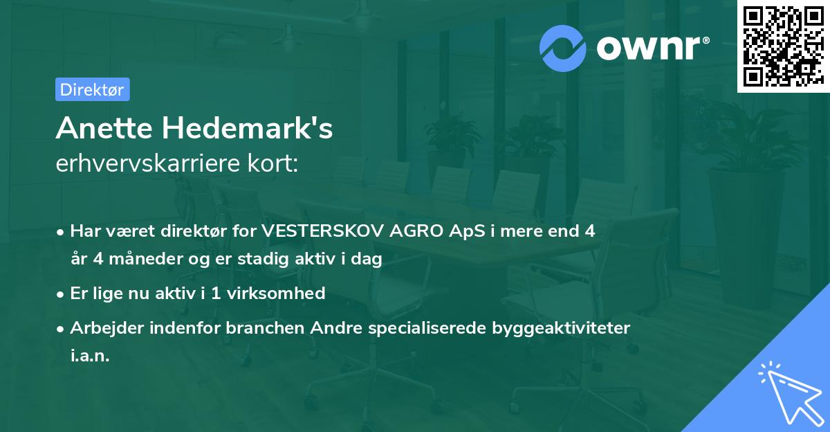 Anette Hedemark's erhvervskarriere kort