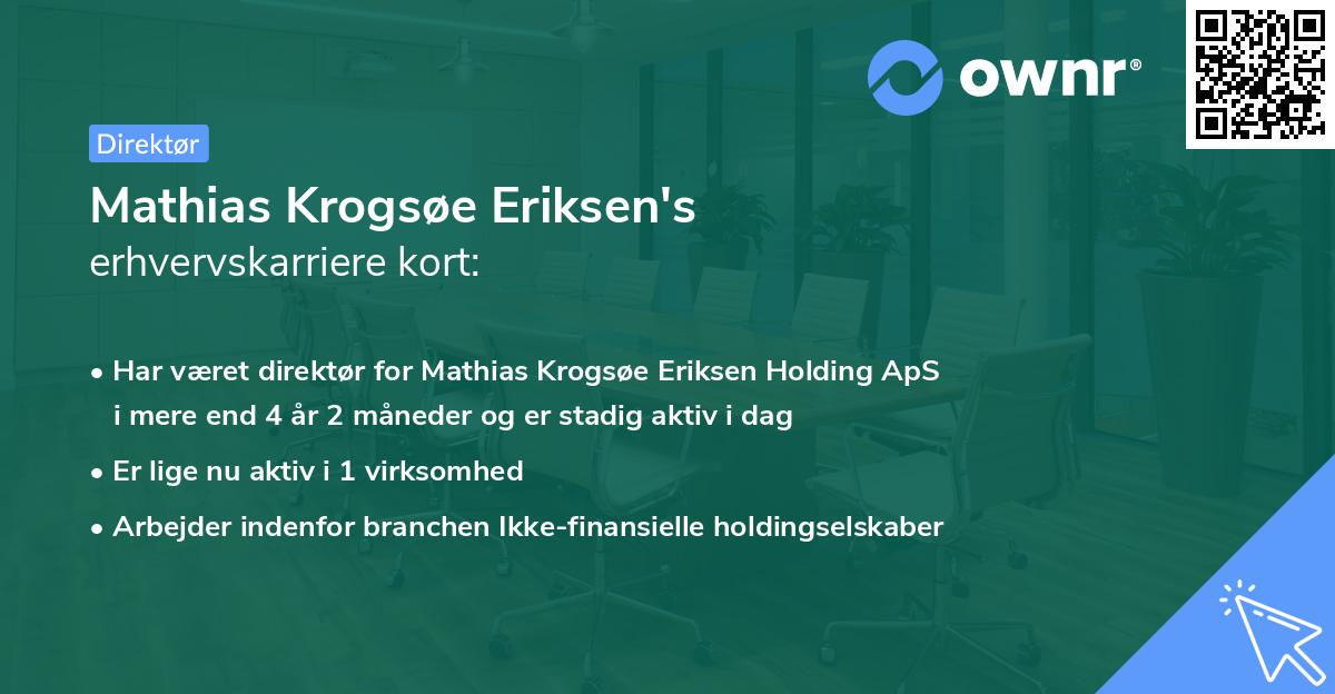 Mathias Krogsøe Eriksen's erhvervskarriere kort