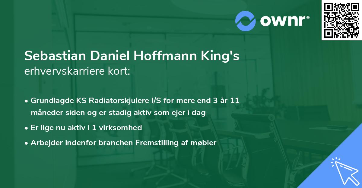 Sebastian Daniel Hoffmann King's erhvervskarriere kort