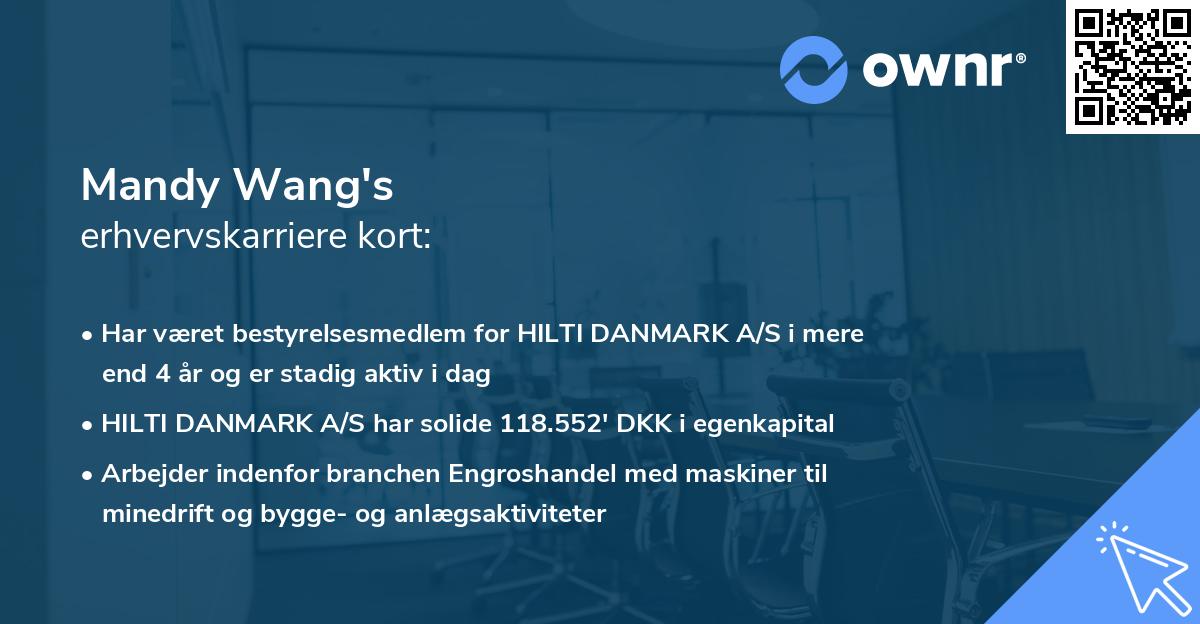 Mandy Wang's erhvervskarriere kort