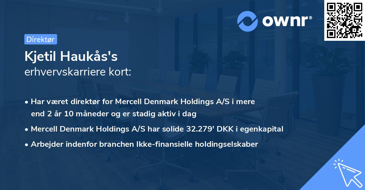 Kjetil Haukås's erhvervskarriere kort