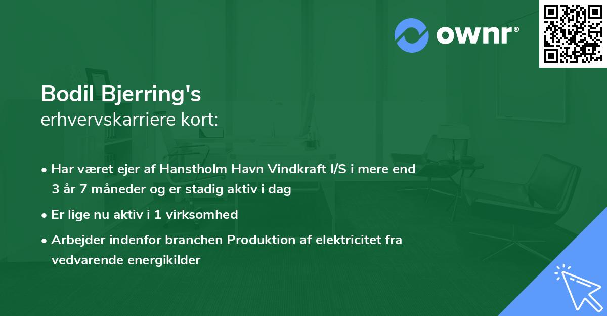 Bodil Bjerring's erhvervskarriere kort