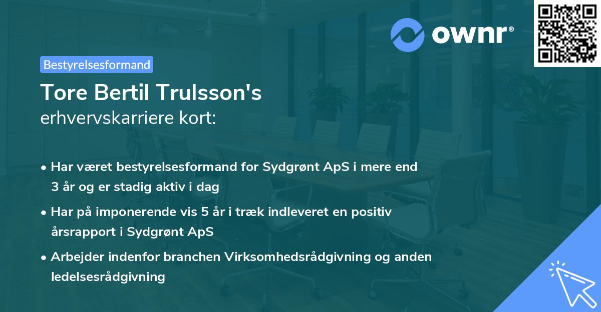 Tore Bertil Trulsson's erhvervskarriere kort