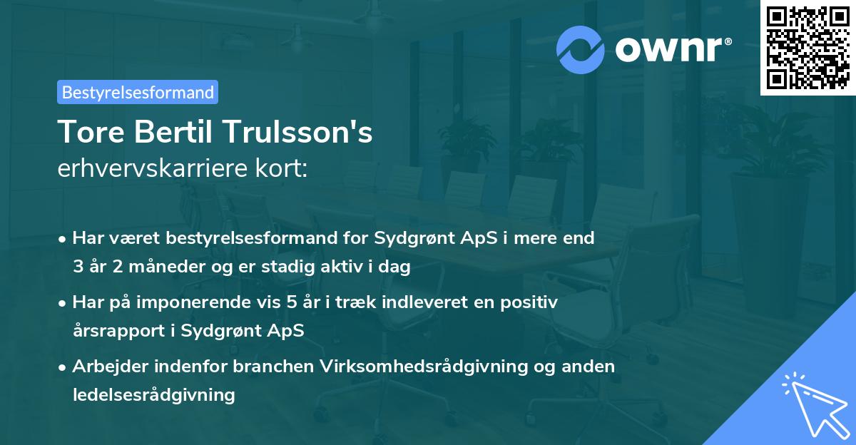 Tore Bertil Trulsson's erhvervskarriere kort