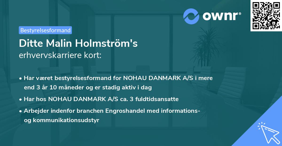 Ditte Malin Holmström's erhvervskarriere kort