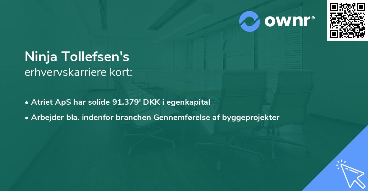 Ninja Tollefsen's erhvervskarriere kort