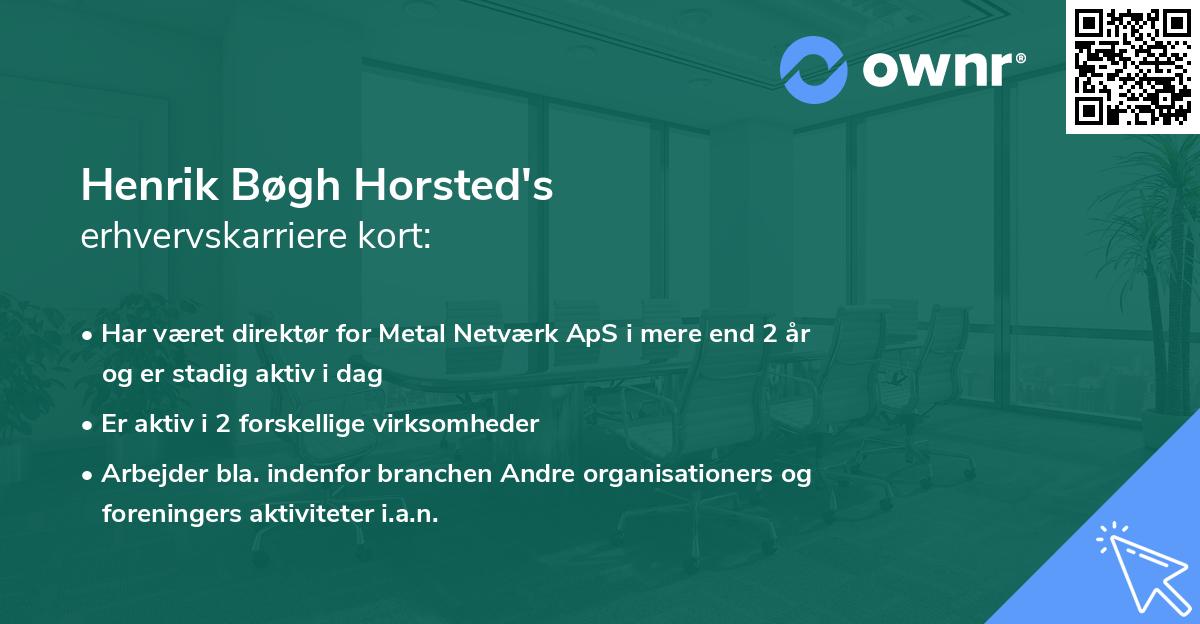 Henrik Bøgh Horsted's erhvervskarriere kort