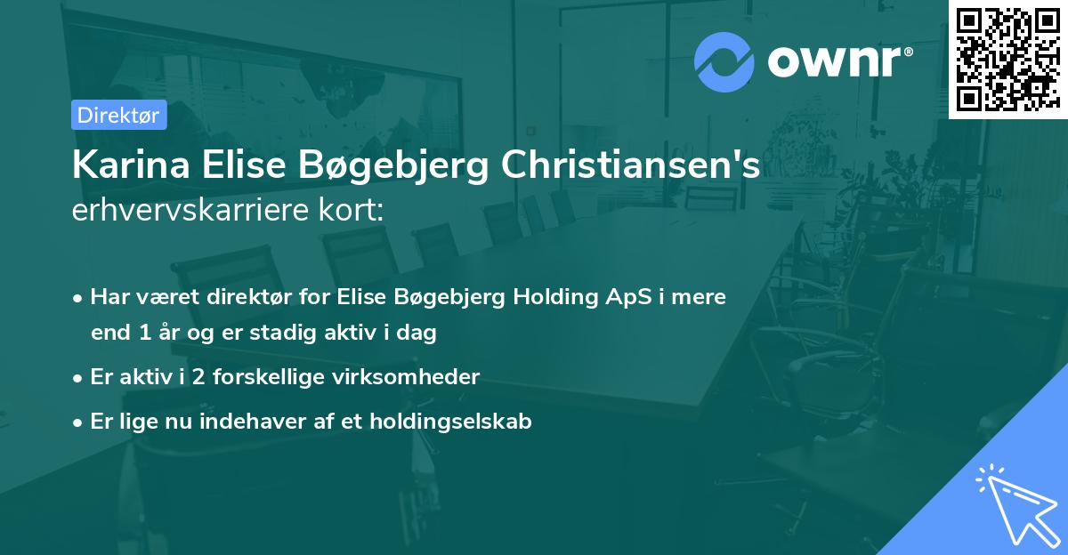 Karina Elise Bøgebjerg Christiansen's erhvervskarriere kort