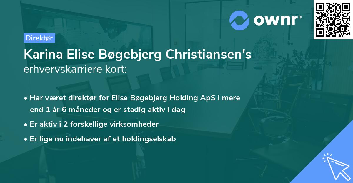 Karina Elise Bøgebjerg Christiansen's erhvervskarriere kort