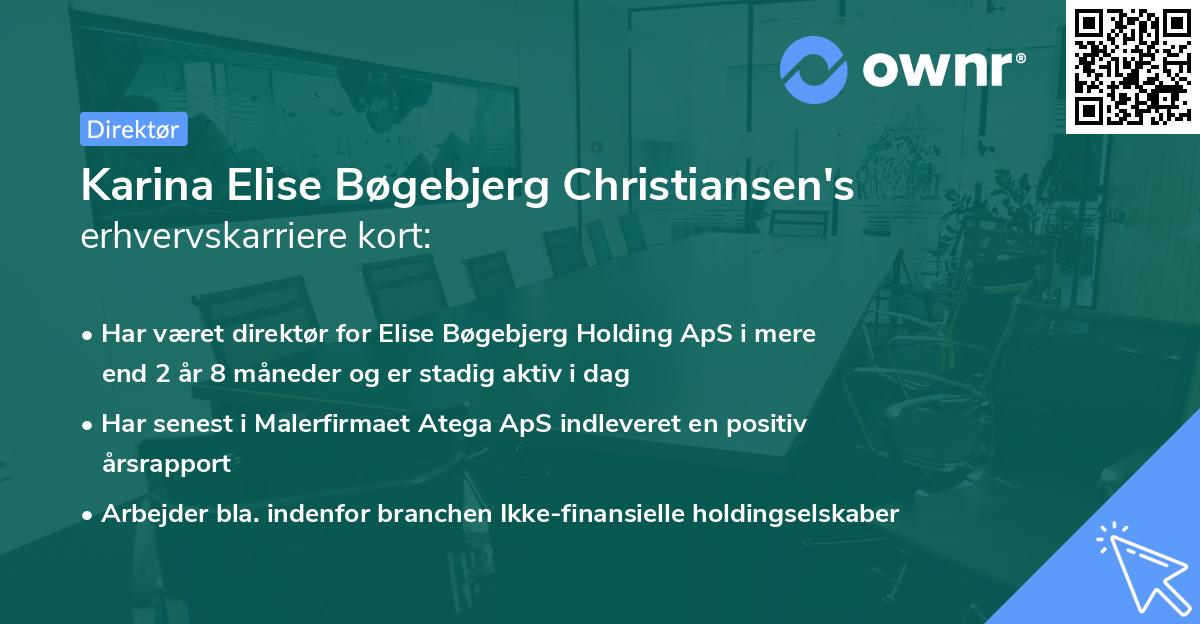 Karina Elise Bøgebjerg Christiansen's erhvervskarriere kort