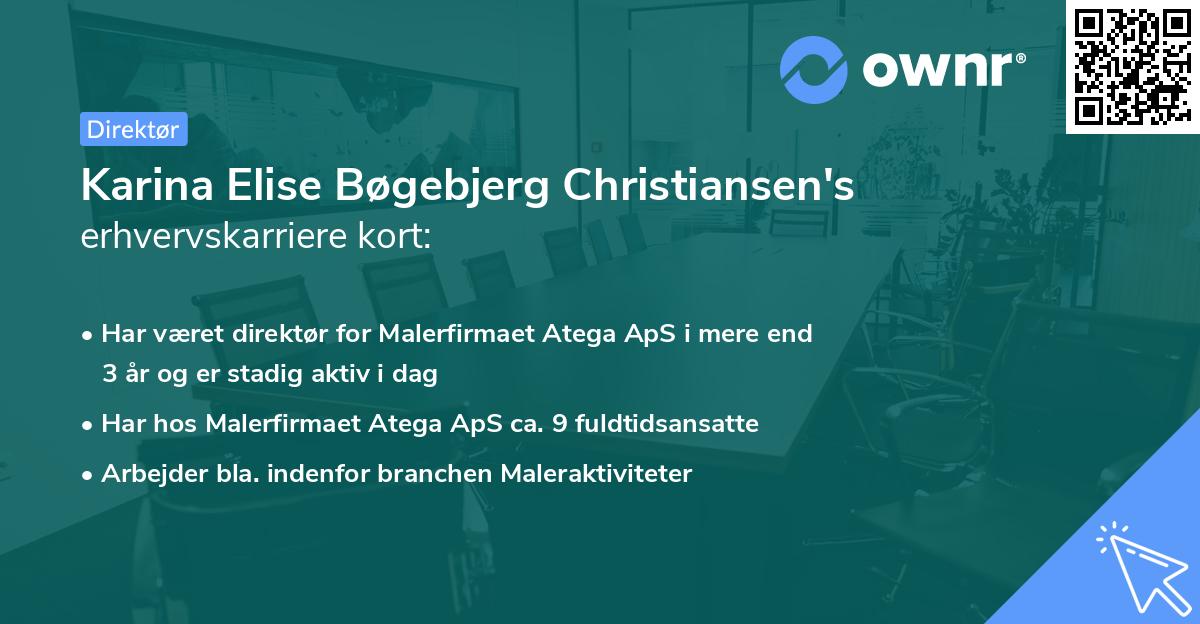 Karina Elise Bøgebjerg Christiansen's erhvervskarriere kort
