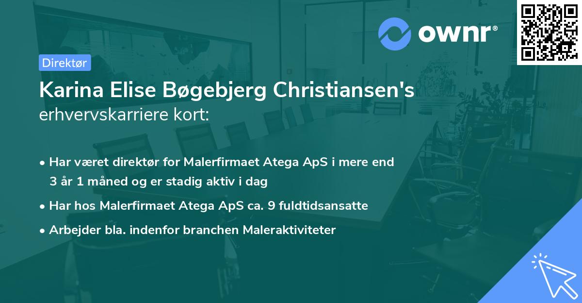 Karina Elise Bøgebjerg Christiansen's erhvervskarriere kort