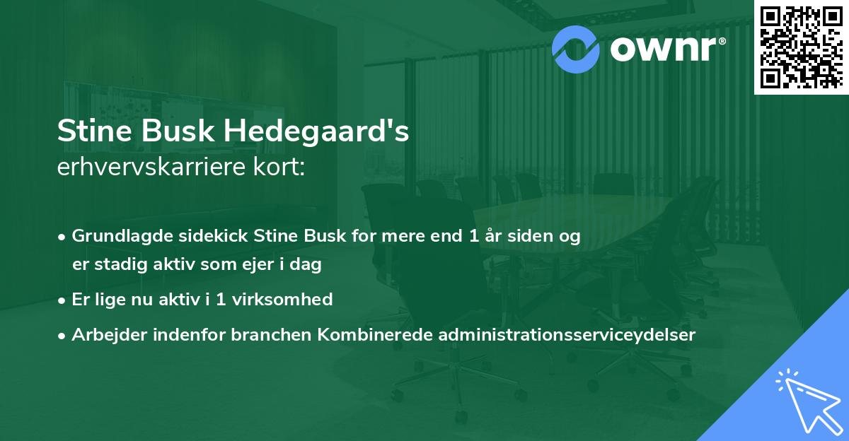Stine Busk Hedegaard's erhvervskarriere kort