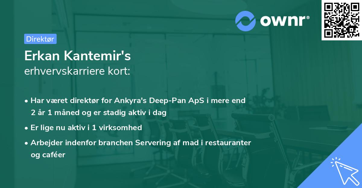 Erkan Kantemir's erhvervskarriere kort