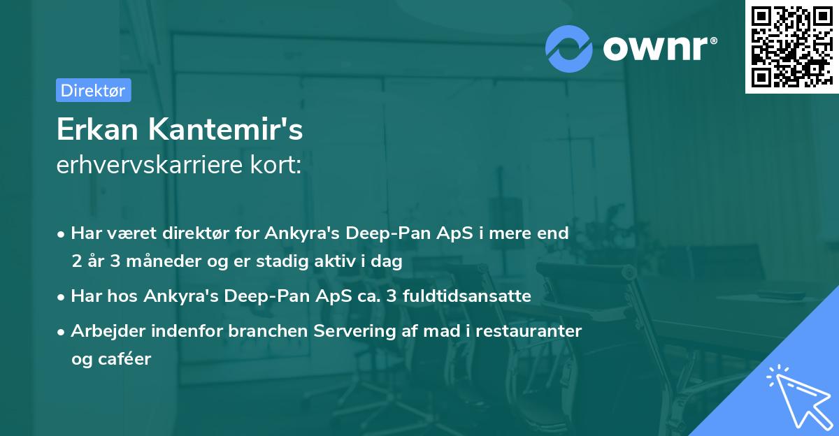 Erkan Kantemir's erhvervskarriere kort