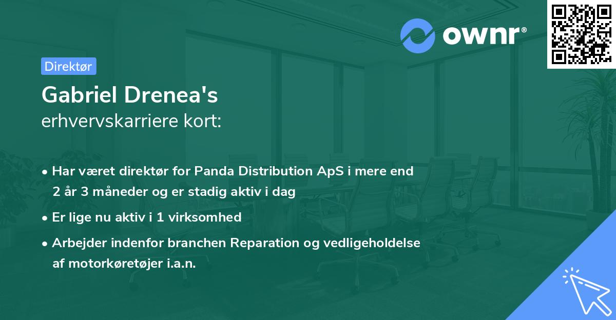 Gabriel Drenea's erhvervskarriere kort