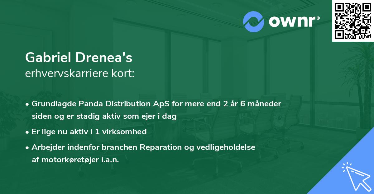 Gabriel Drenea's erhvervskarriere kort