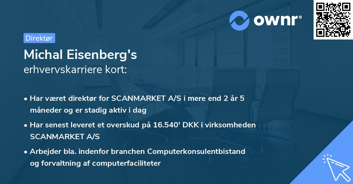 Michal Eisenberg's erhvervskarriere kort